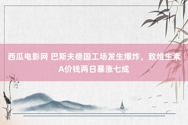 西瓜电影网 巴斯夫德国工场发生爆炸，致维生素A价钱两日暴涨七成