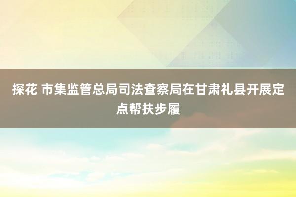 探花 市集监管总局司法查察局在甘肃礼县开展定点帮扶步履