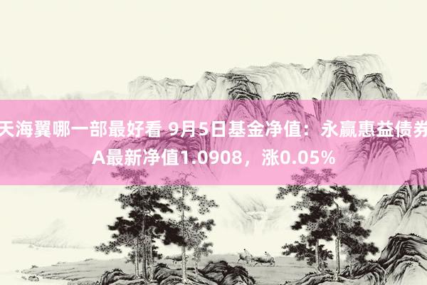 天海翼哪一部最好看 9月5日基金净值：永赢惠益债券A最新净值1.0908，涨0.05%
