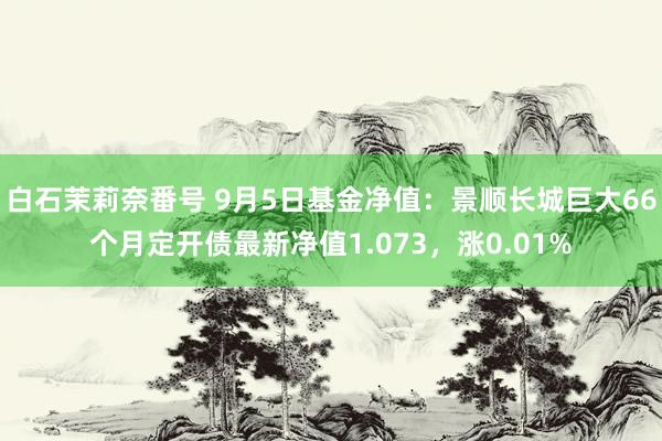 白石茉莉奈番号 9月5日基金净值：景顺长城巨大66个月定开债最新净值1.073，涨0.01%