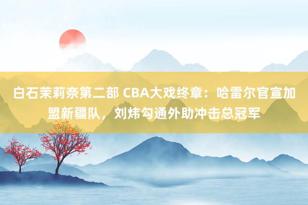 白石茉莉奈第二部 CBA大戏终章：哈雷尔官宣加盟新疆队，刘炜勾通外助冲击总冠军