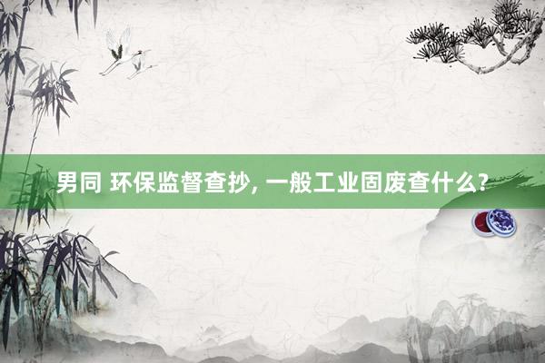 男同 环保监督查抄, 一般工业固废查什么?