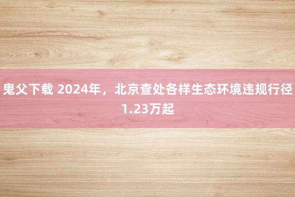 鬼父下载 2024年，北京查处各样生态环境违规行径1.23万起