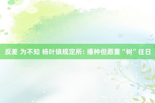 反差 为不知 杨叶镇规定所: 播种但愿重“树”往日
