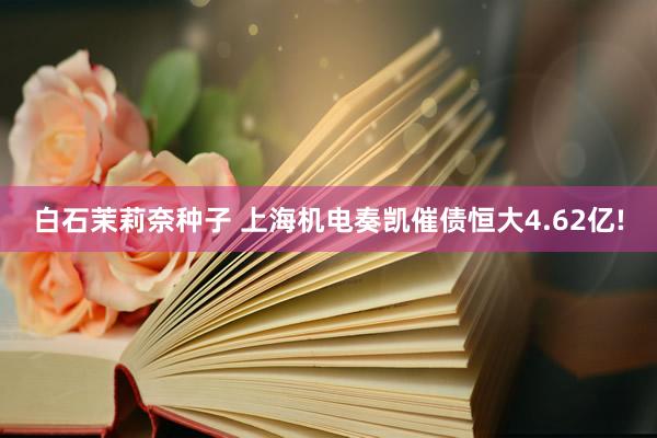 白石茉莉奈种子 上海机电奏凯催债恒大4.62亿!
