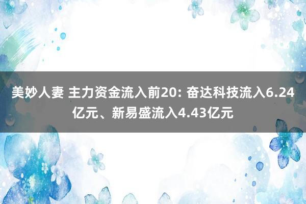 美妙人妻 主力资金流入前20: 奋达科技流入6.24亿元、新易盛流入4.43亿元