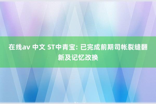 在线av 中文 ST中青宝: 已完成前期司帐裂缝翻新及记忆改换