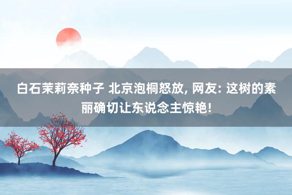 白石茉莉奈种子 北京泡桐怒放, 网友: 这树的素丽确切让东说念主惊艳!