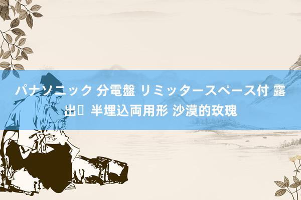 パナソニック 分電盤 リミッタースペース付 露出・半埋込両用形 沙漠的玫瑰