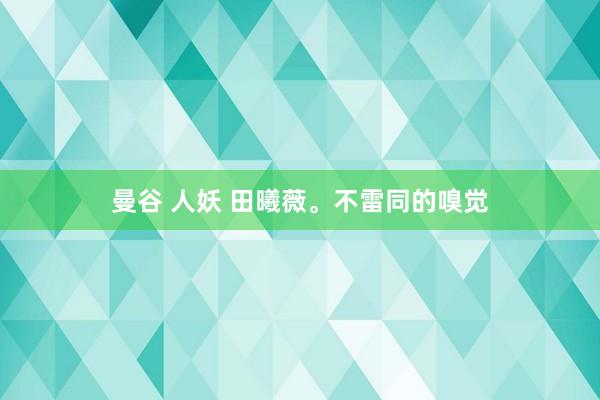曼谷 人妖 田曦薇。不雷同的嗅觉