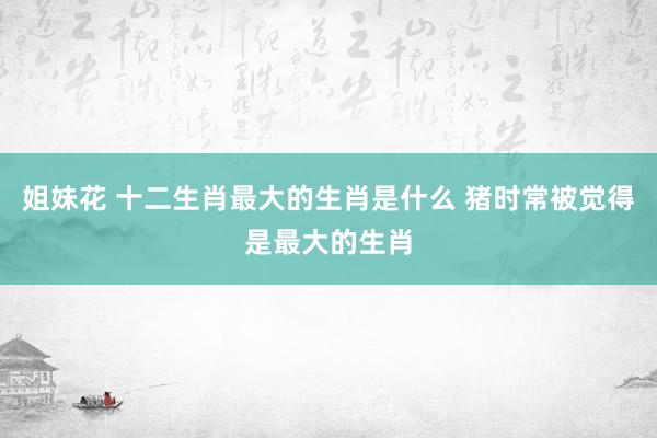 姐妹花 十二生肖最大的生肖是什么 猪时常被觉得是最大的生肖