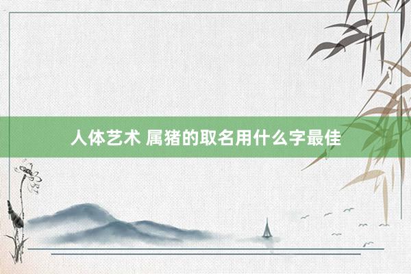 人体艺术 属猪的取名用什么字最佳