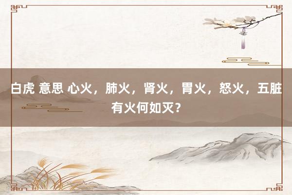 白虎 意思 心火，肺火，肾火，胃火，怒火，五脏有火何如灭？
