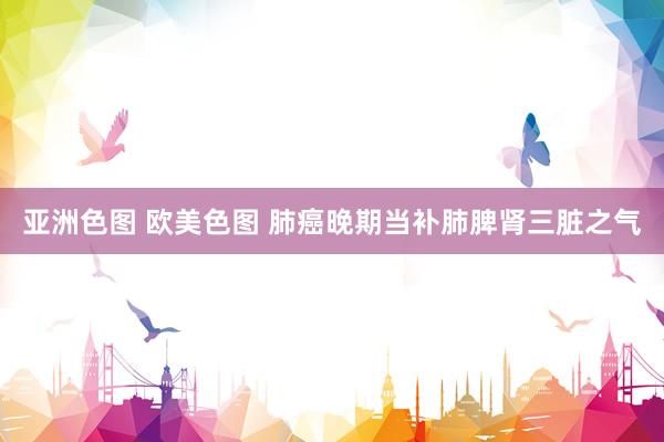 亚洲色图 欧美色图 肺癌晚期当补肺脾肾三脏之气