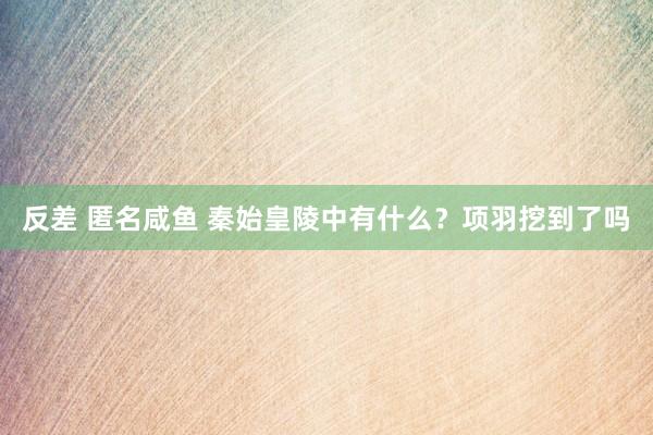 反差 匿名咸鱼 秦始皇陵中有什么？项羽挖到了吗