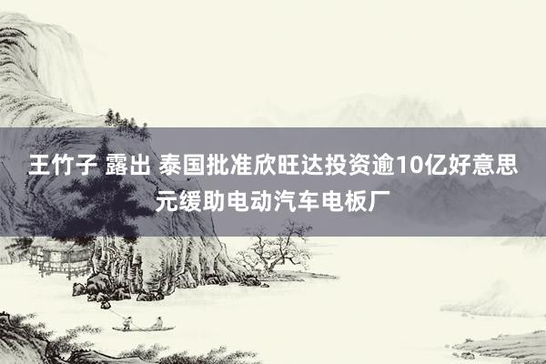 王竹子 露出 泰国批准欣旺达投资逾10亿好意思元缓助电动汽车电板厂