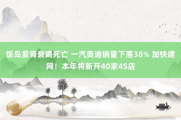 饭岛爱肾衰竭死亡 一汽奥迪销量下落38% 加快建网！本年将新开40家4S店